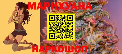 спиды Камышлов