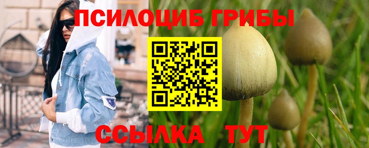 Галлюциногенные грибы мухоморы  Галлюциногенные грибы Psilocybine cubensis  Кыштым  Вход с VPN 
