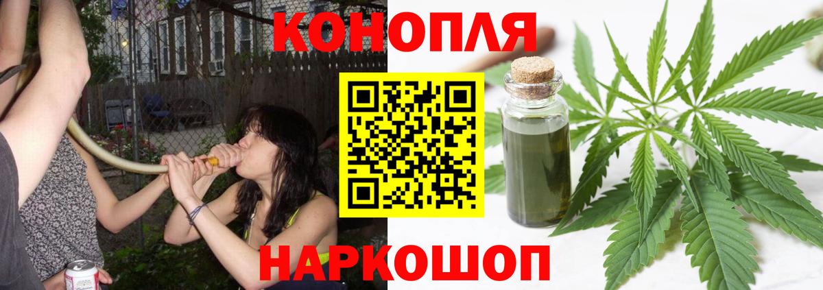 Бошки марихуана SATIVA & INDICA Кыштым